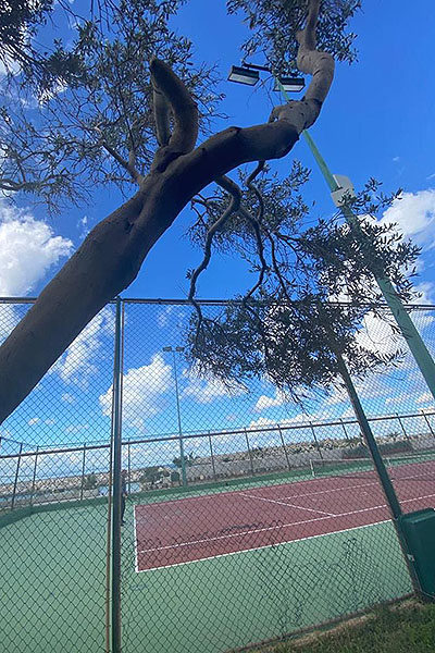 Tennis courts at Portemilio